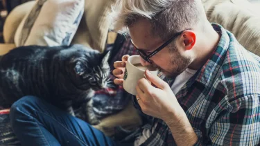 働きたくない、家にいたい…適応障害から始めたブログで見つけた新しい働き方